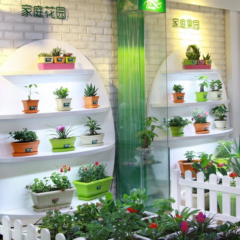 植彩坊智能園藝機 科技點亮綠色生活，室內種植新體驗